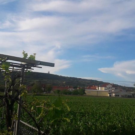 Rohrendorf bei Krems Pansion Brda 아파트 외부 사진
