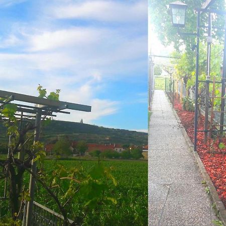 Rohrendorf bei Krems Pansion Brda 아파트 외부 사진