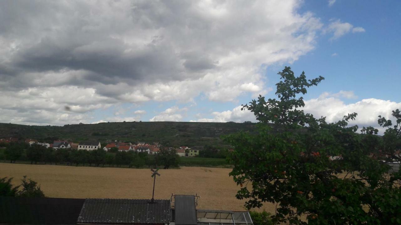 Rohrendorf bei Krems Pansion Brda 아파트 외부 사진