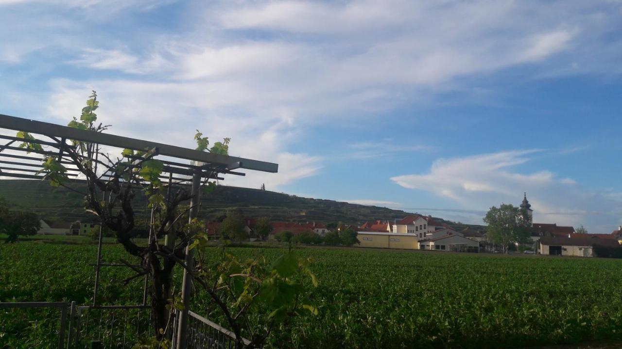 Rohrendorf bei Krems Pansion Brda 아파트 외부 사진